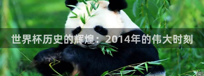 世预赛免费直播入口：世界杯历史的辉煌：2014年的伟大时刻