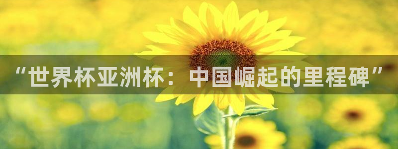 世界杯亚洲区预选赛：“世界杯亚洲杯：中国崛起的里程碑”
