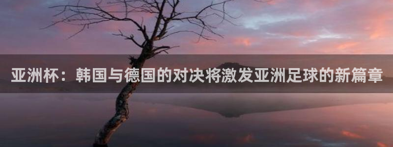 2026世界杯：亚洲杯：韩国与德国的对决将激发亚洲足球的新篇章