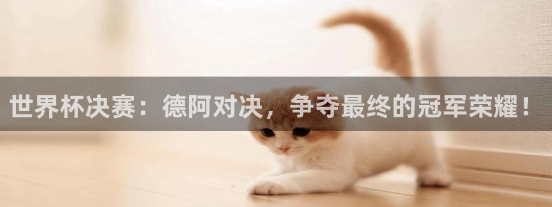 2026世预赛赛程：世界杯决赛：德阿对决，争夺最终的冠军荣耀！