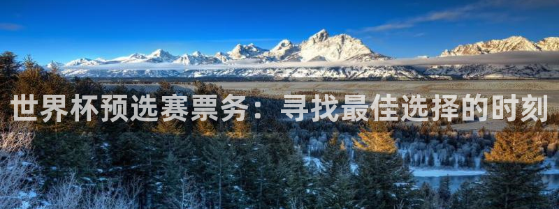 男足世界杯预选赛赛程：世界杯预选赛票务：寻找最佳选择的时刻