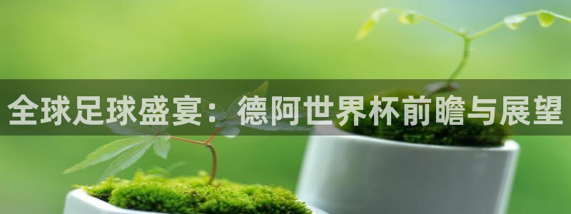 足球世界杯赛程：全球足球盛宴：德阿世界杯前瞻与展望