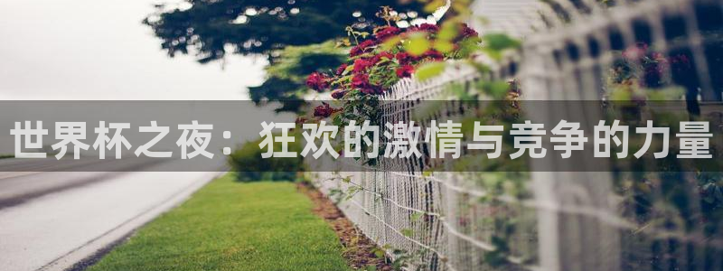 女足世界杯赛程：世界杯之夜：狂欢的激情与竞争的力量