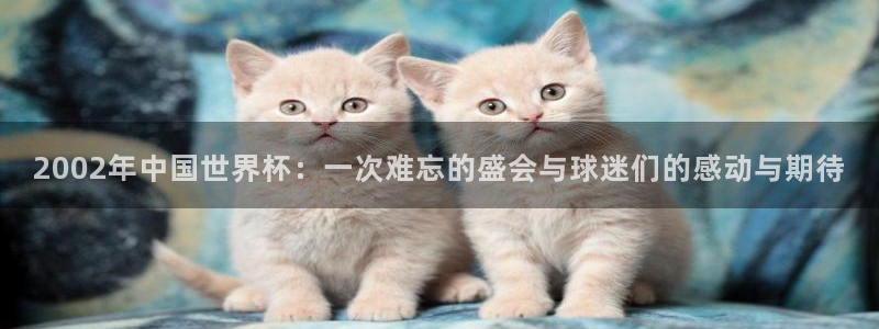 世界杯视频：2002年中国世界杯：一次难忘的盛会与球迷们的感动与期待