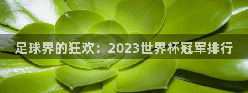 世界杯比赛直播：足球界的狂欢：2023世界杯冠军排行
