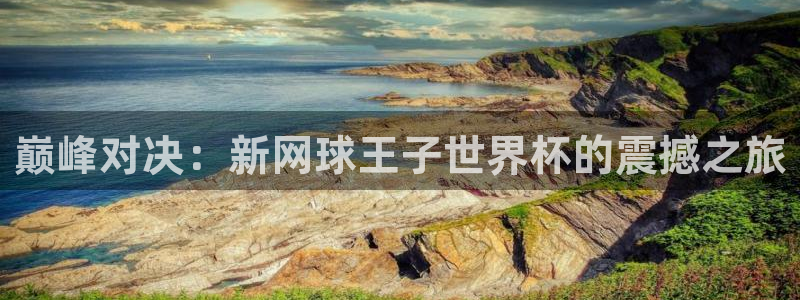世界杯欧洲区预选赛：巅峰对决：新网球王子世界杯的震撼之旅