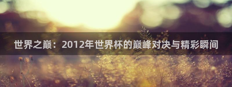 2026世界杯亚洲区预选赛：世界之巅：2012年世界杯的巅峰对决与精彩瞬间