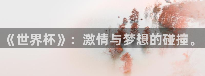 欧联杯直播：《世界杯》：激情与梦想的碰撞。