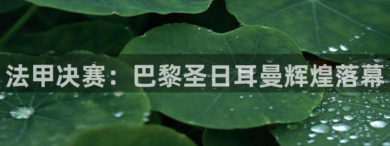 2006年世界杯:法甲决赛:巴黎圣日耳曼辉煌落幕