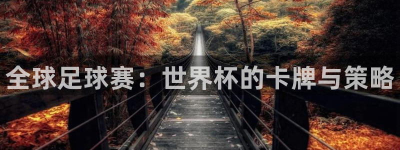 世界杯预选赛欧洲区赛程：全球足球赛：世界杯的卡牌与策略
