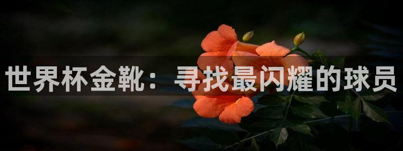 2026世预赛全部赛程：世界杯金靴：寻找最闪耀的球员