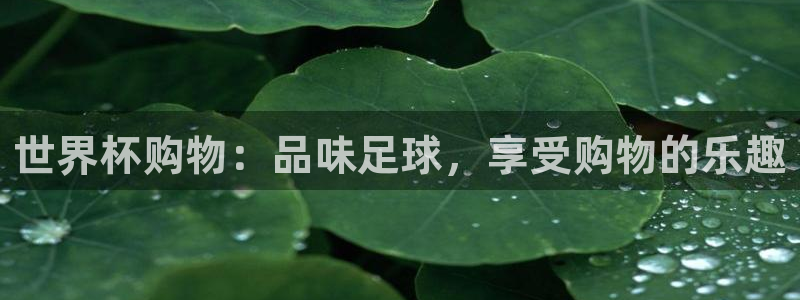 看世界杯：世界杯购物：品味足球，享受购物的乐趣