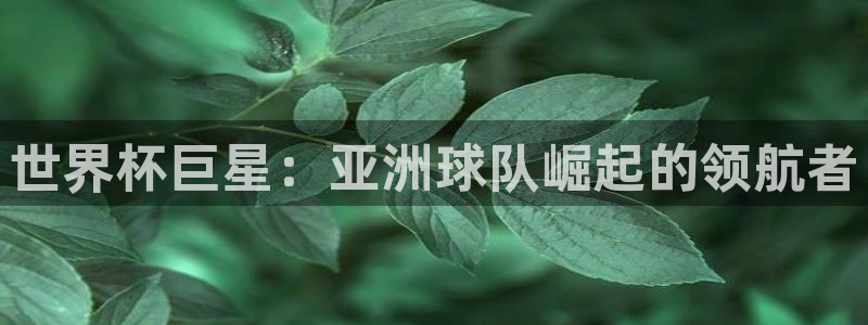 世界杯直播时间：世界杯巨星：亚洲球队崛起的领航者