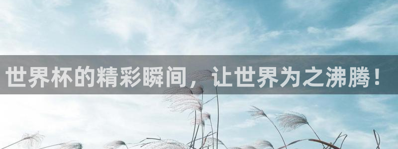 世界杯48支球队赛制：世界杯的精彩瞬间，让世界为之沸腾！